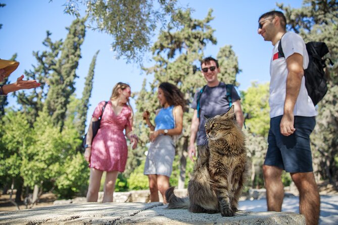 Athens Acropolis and Parthenon Walking Tour - The hilltop route in plain English: what each stop feels like