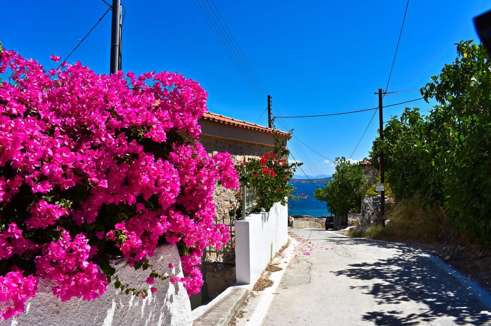 Athens: Agistri, Metopi & Aegina Cruise with Meals & Drinks - Why this Agistri–Aegina cruise feels like good Athens value