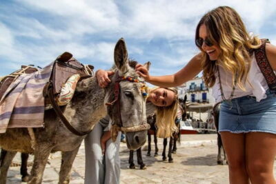 Athens Day Cruise – Since 1965 | Visit Hydra, Poros & Aegina - Hydra Town: cobblestone lanes, donkey transport, and an optional walk with guides