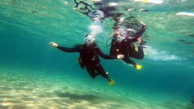 Athens East Coast: Discover Scuba Diving in Nea Makri - The 3-hour flow: safety briefing, practice, then a controlled first time below