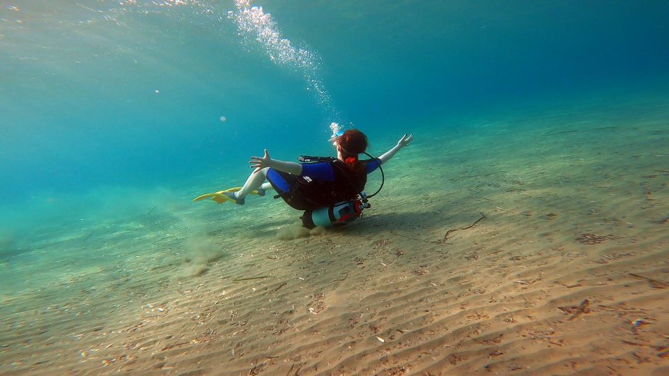 Athens East Coast: Discover Scuba Diving in Nea Makri - Shallow-water practice: the confidence builder before you go lower