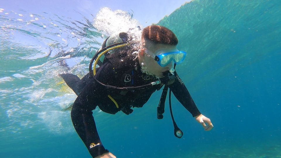 Athens East Coast: Discover Scuba Diving in Nea Makri - Where you meet and how to plan transport from Athens