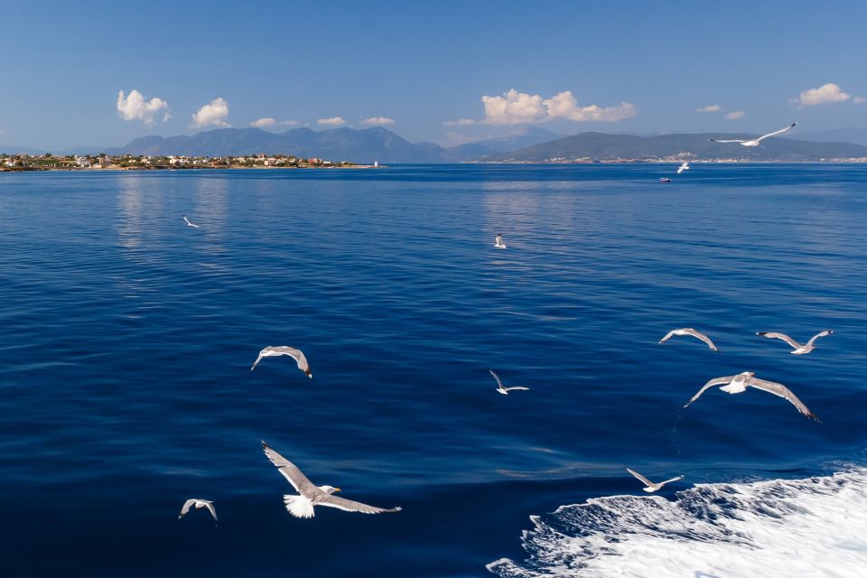 Athens: Guided Day Trip to Aegina Island with Swimming - Temple of Athena Aphaia: one of Greece’s best-preserved ancient stops