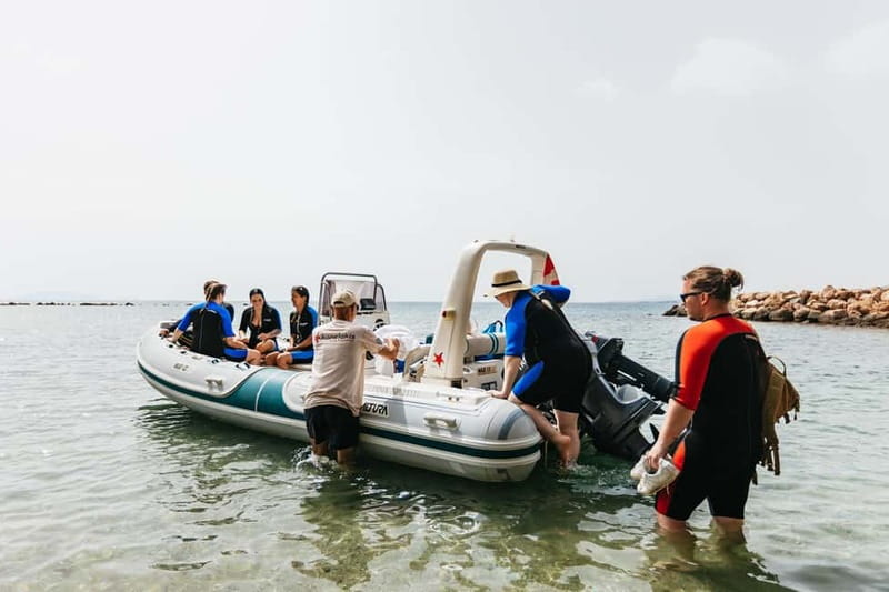 Athens: Marathon Cape and Bay of Schinias Snorkeling Trip - What Dimitri does in the water (and why it affects your results)