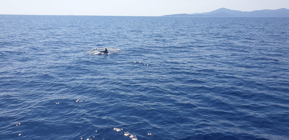 Athens: Riviera Catamaran Tour with Fresh Meal and Drinks - What’s Included (and Why That Changes the Value)