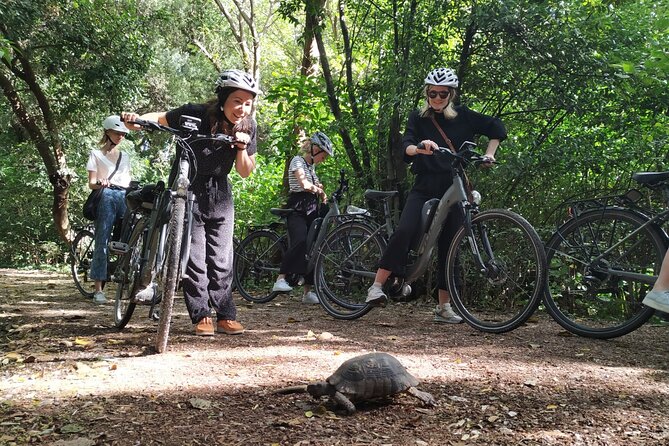 Athens Small Group Electric Bike Tour - Panathenaic Stadium and Roman Agora gate photos