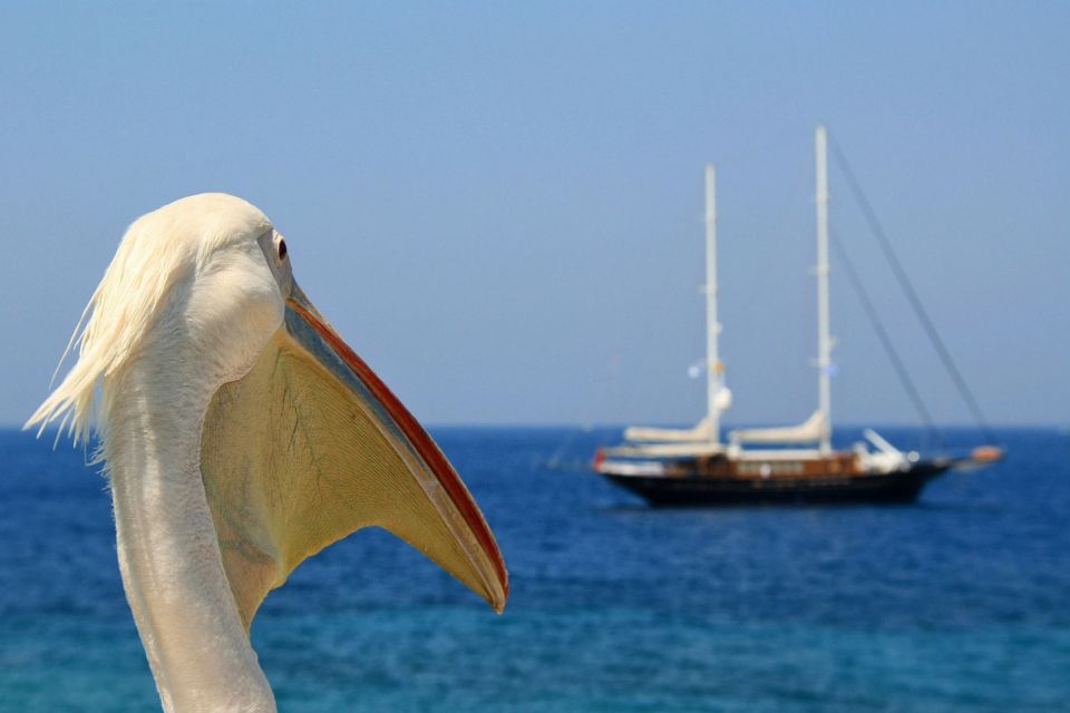 From Athens: 2-Day Santorini and Mykonos Trip - Athens to Rafina: the start that sets the whole tone