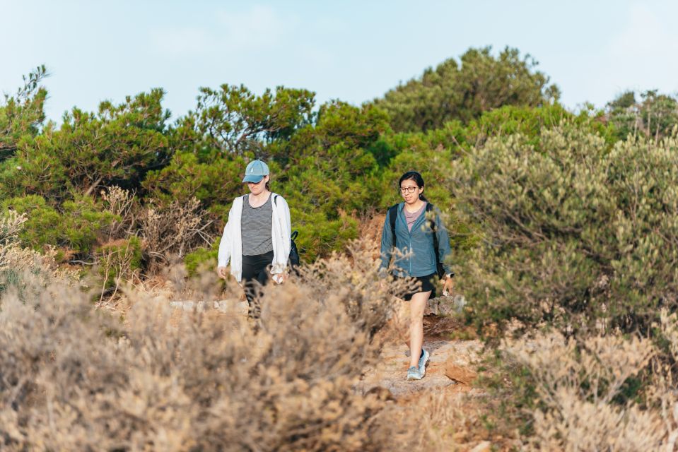 From Athens: Cape Sounion & Temple of Poseidon Half Day Tour - Price and value: what you’re really paying for