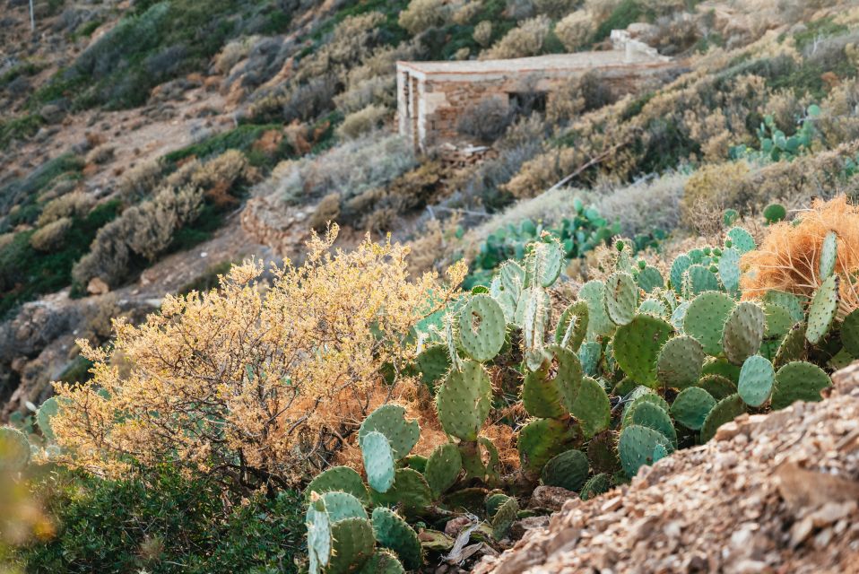 From Athens: Cape Sounion & Temple of Poseidon Half Day Tour - Sunset vs morning: picking the right light (and the right mindset)