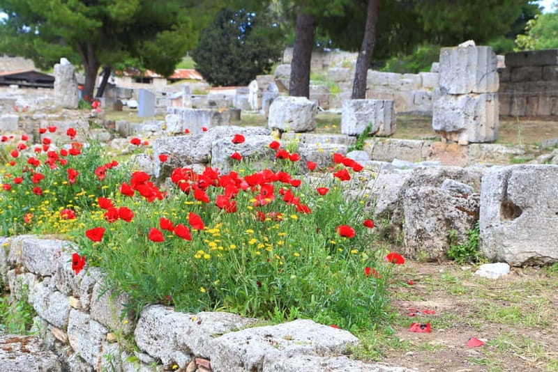 From Athens: Explore Ancient Corinth & Charming Nafplion - Should You Book? My Take