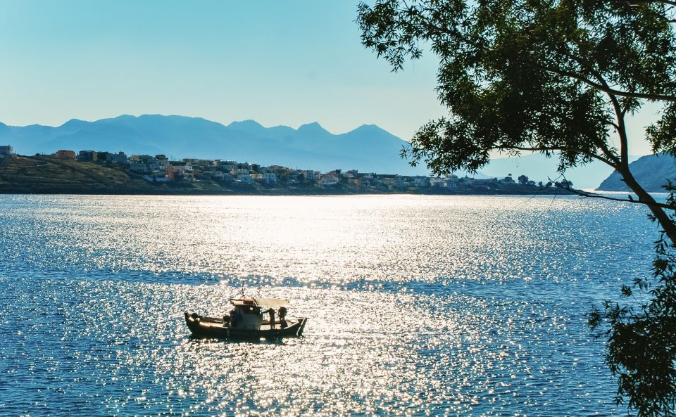 From Athens: Hydra, Poros, and Aegina Day Cruise with Lunch - Who this cruise is best for