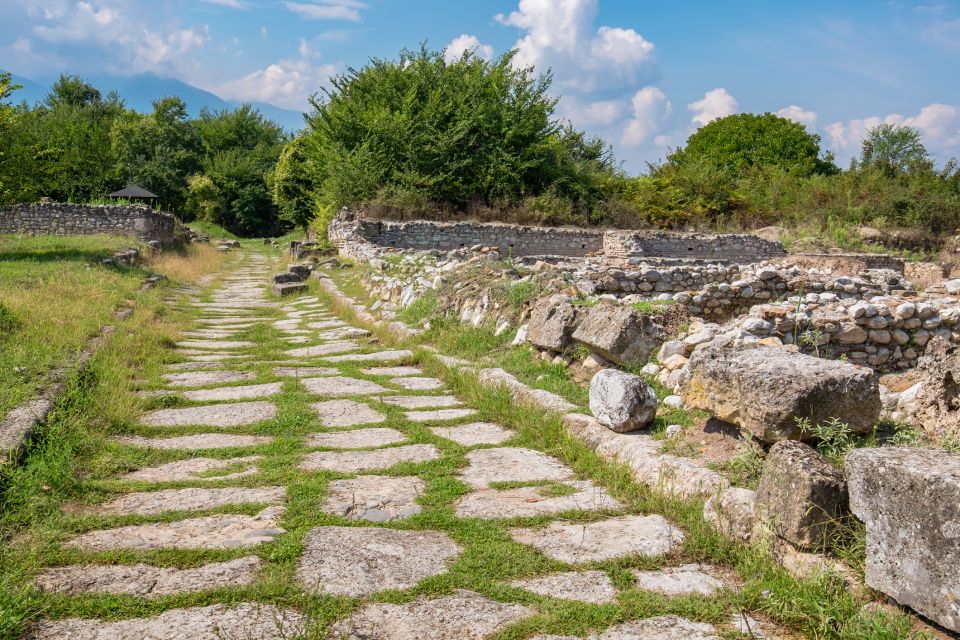 From Athens: Mt. Olympus National Park Guided Day Tour - Tips to Make the Most of the 07:49 Start