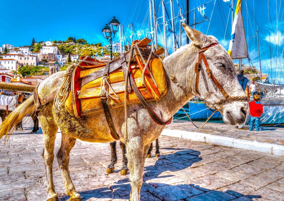 From Athens: Saronic Islands Full-Day Cruise with VIP Seats - Should you book? My call on VIP seats