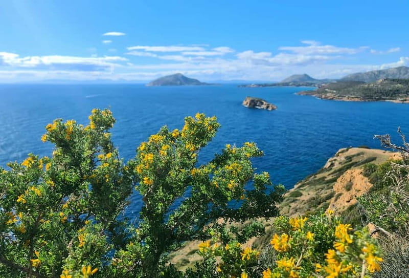 From Athens: Temple of Poseidon & Cape Sounion Half-Day Tour - Key things that make this tour worth your time